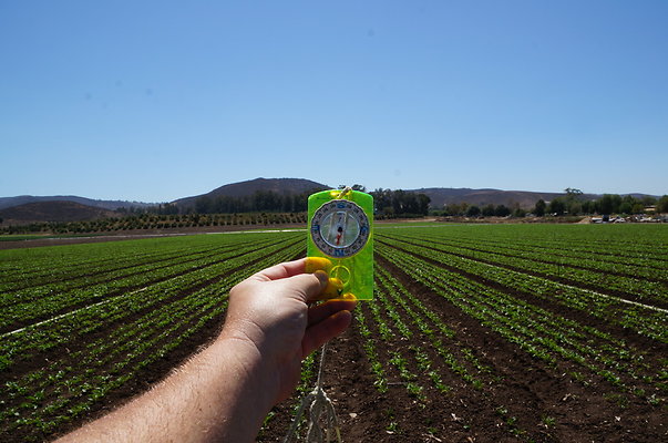 Underwood Farms.Parsley.Field.Road13 Underwood Farms.Parsley.Field.Road13