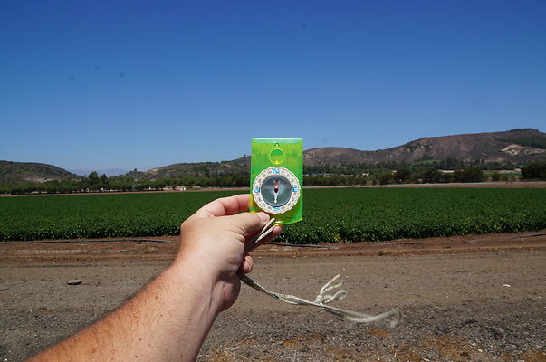 Underwood Farms.Parsley.Field.Road14 Underwood Farms.Parsley.Field.Road14