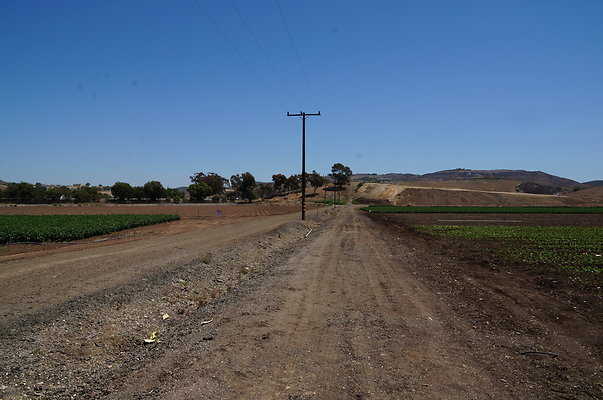 Underwood Farms.Parsley.Field.Road11 Underwood Farms.Parsley.Field.Road11