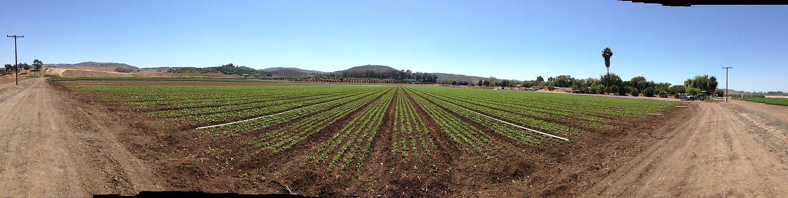 Underwood.Farms.Parsley.Road.South.Pan Underwood.Farms.Parsley.Road.South.Pan