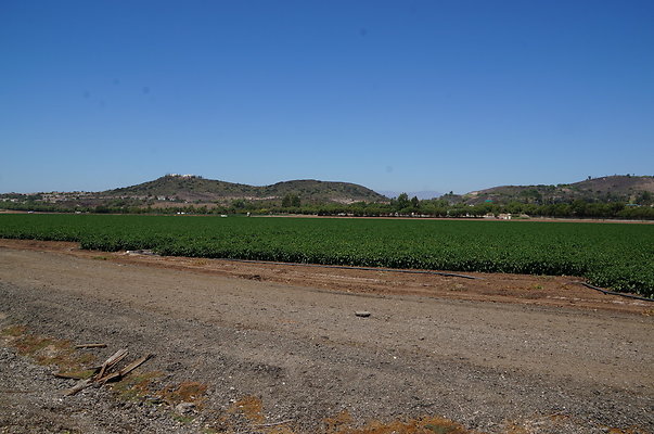 Underwood Farms.Parsley.Field.Road09 Underwood Farms.Parsley.Field.Road09
