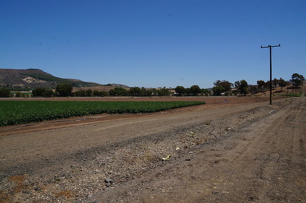 Underwood Farms.Parsley.Field.Road06 Underwood Farms.Parsley.Field.Road06
