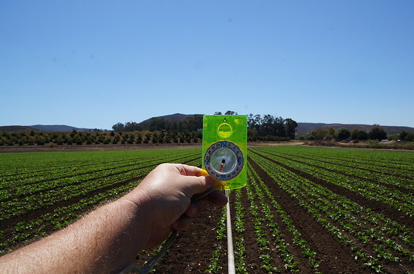 Underwood Farms.Parsley.Field.Center13