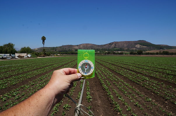 Underwood Farms.Parsley.Field.Center14