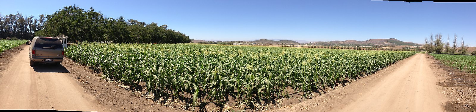 Underwood.Farms.Corn.North.Pan