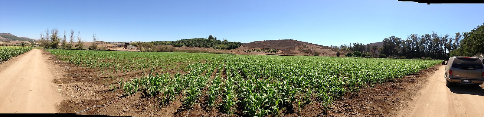 Underwood.Farms.Corn.South.Pan