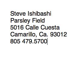 z.Ishibashi.Parsely.Camarillo.info