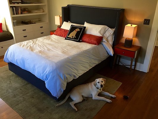 9719 bed5