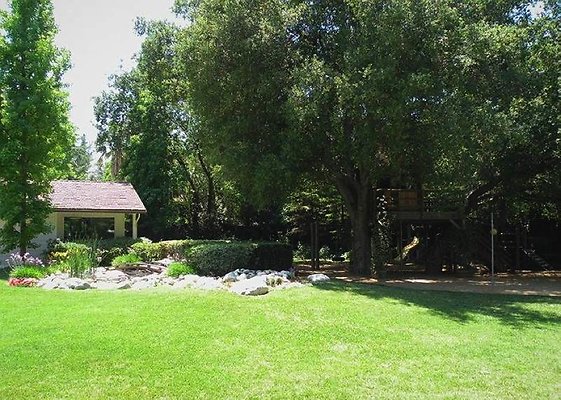 4324 treehouse2