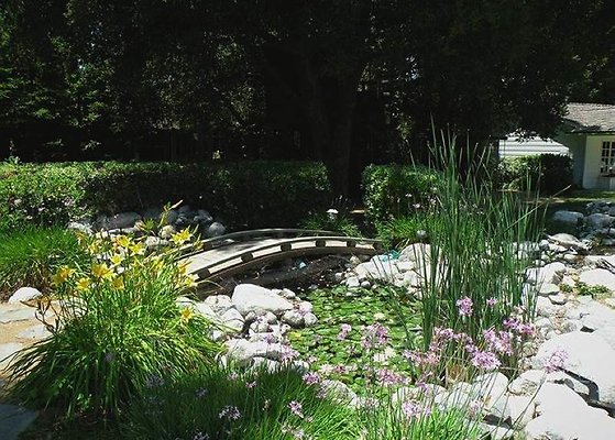 4324 pond