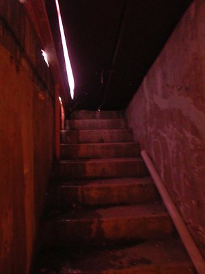 5039 basement6
