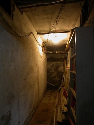 5039 basement5