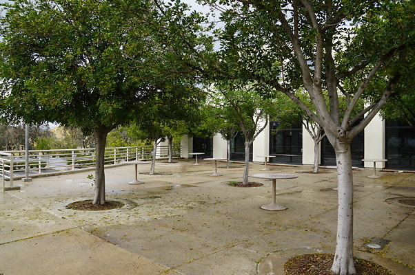 DSC08915