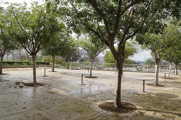 DSC08907