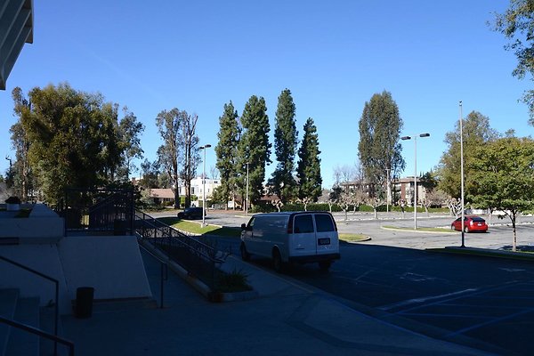 NW Lot