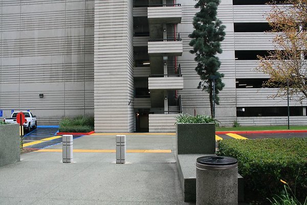 IMG 7081