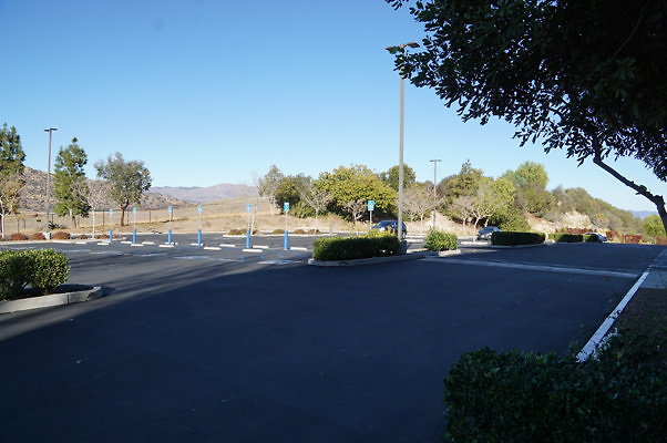 DSC06654