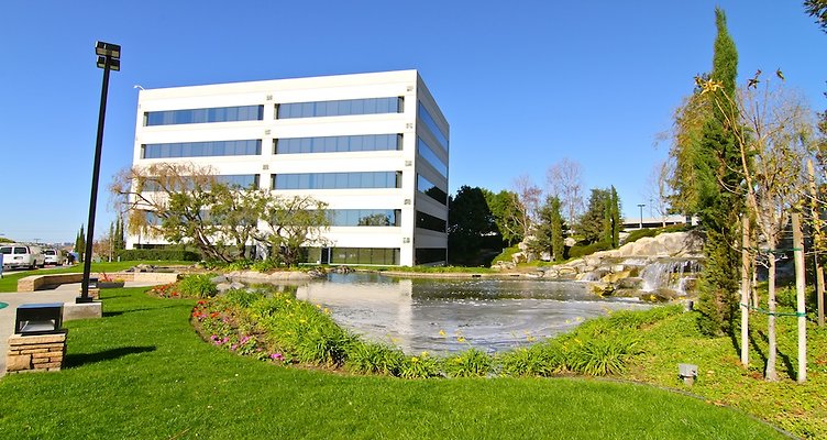 IMG 0708-copy