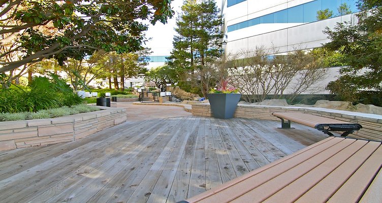 IMG 0737-copy