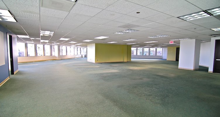 IMG 0763-copy