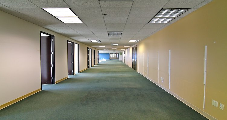 IMG 0754-copy