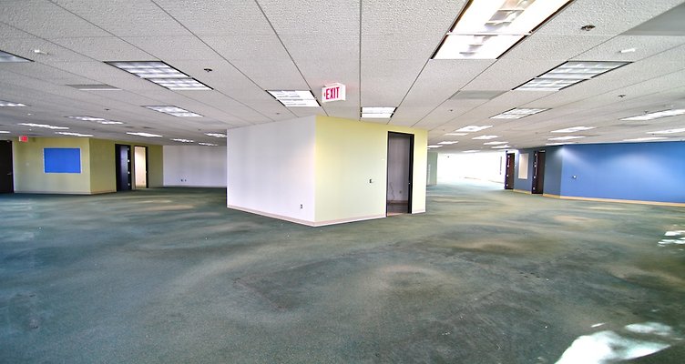 IMG 0767-copy