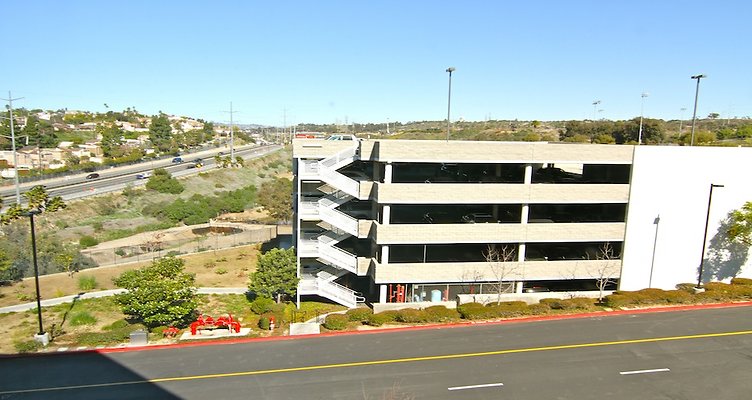IMG 0819-copy