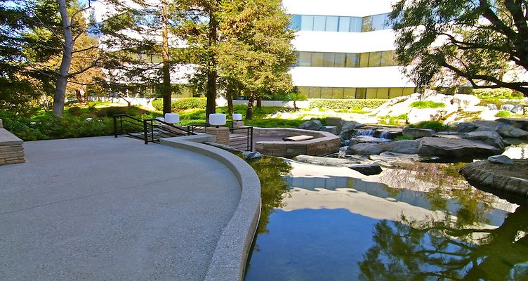 IMG 0748-copy