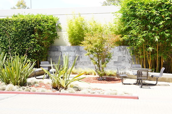 DSC02657