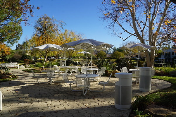 DSC06716b