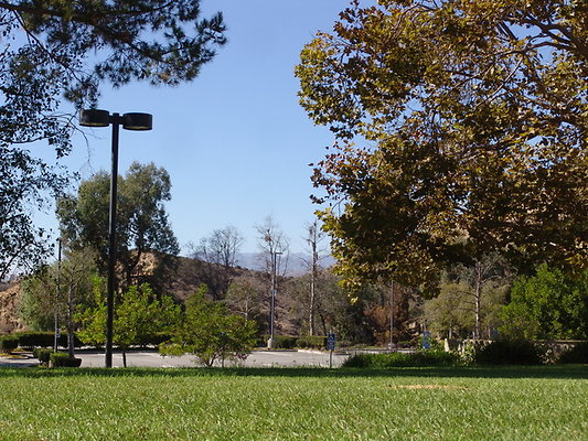 DSC07648