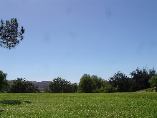 DSC07647