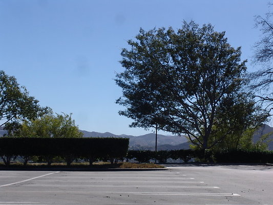 DSC07611