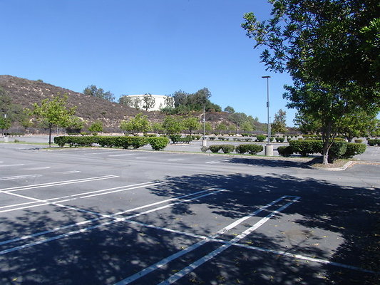 DSC07610