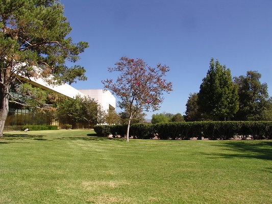 DSC07641