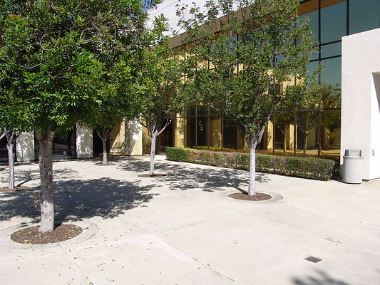 DSC07665