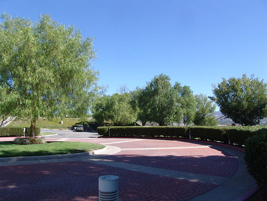 DSC07626