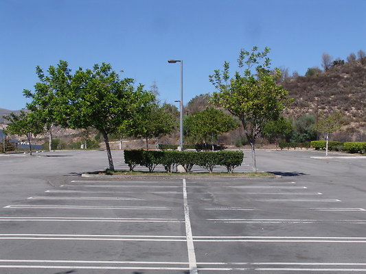 DSC07613