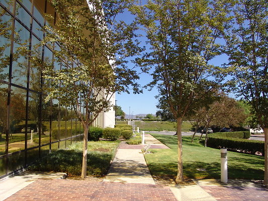 DSC07633