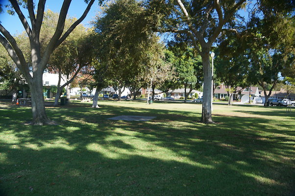 DSC03383