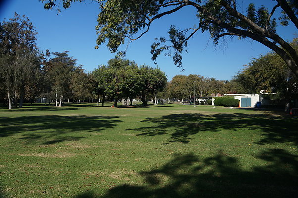 DSC03382
