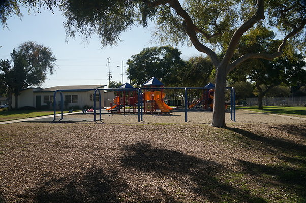 DSC03504