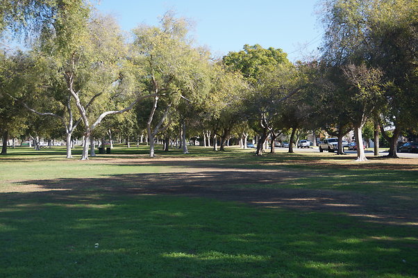 DSC03467