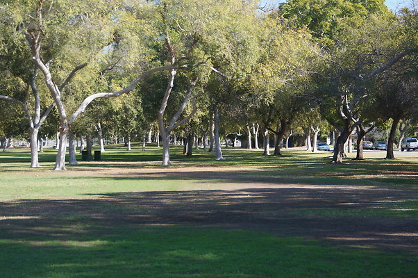 DSC03468