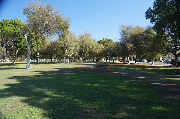 DSC03466