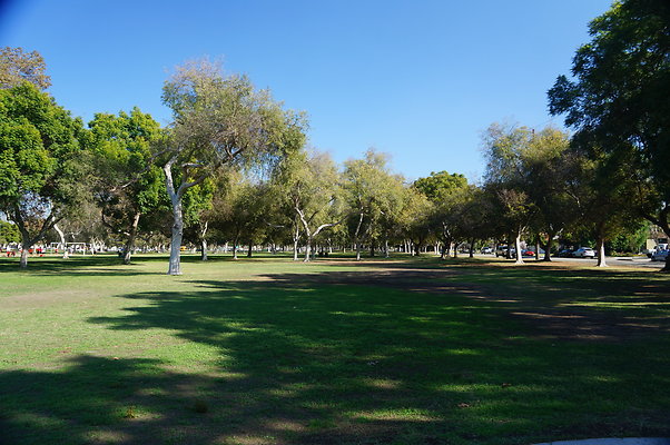 DSC03465