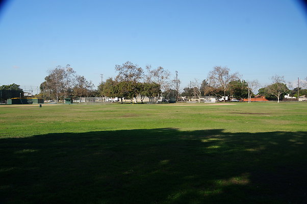 DSC03497