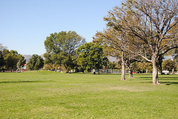 DSC 0105