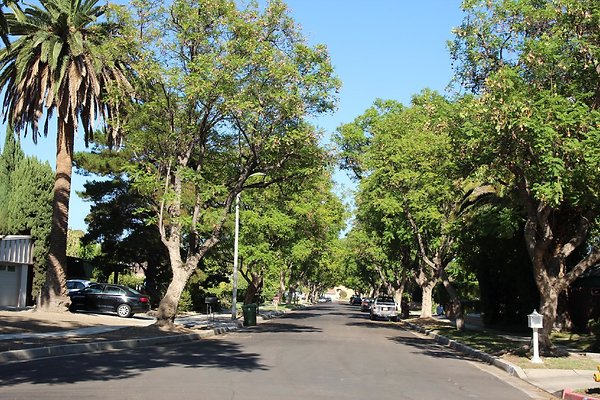 41.18408.Minnehaha.St.GranadaHills