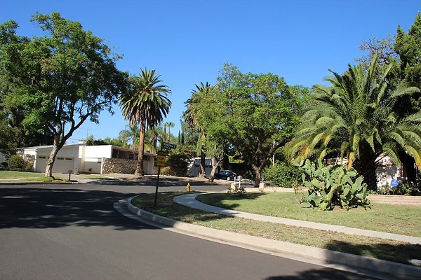 19.18408.Minnehaha.St.GranadaHills